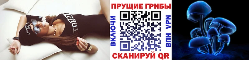 где купить блэк спрут маркетплейс Псилоцибиновые грибы ЛСД Верхнеуральск